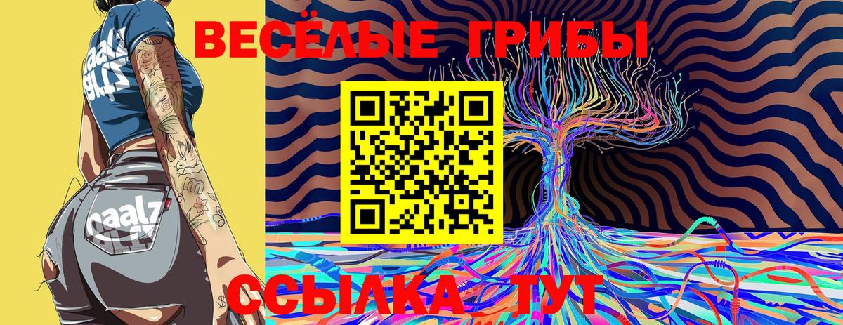Псилоцибиновые грибы Psilocybe Дивногорск