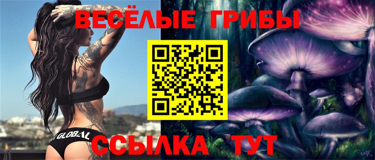 Псилоцибиновые грибы GOLDEN TEACHER  Вход с VPN  Псилоцибиновые грибы Psilocybine cubensis  Дивногорск 